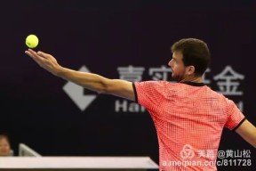 YIHAO-穆雷在中国队比赛中赛事规则更新，连败引发热议！的简单介绍